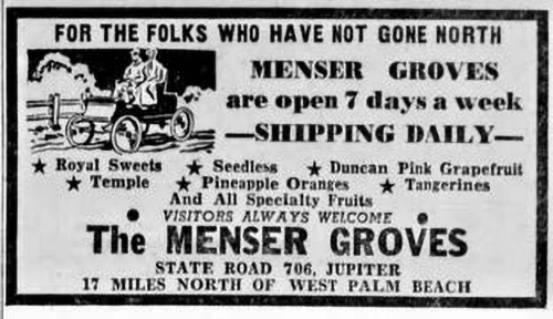 Menser Groves ad for Citrus Groves